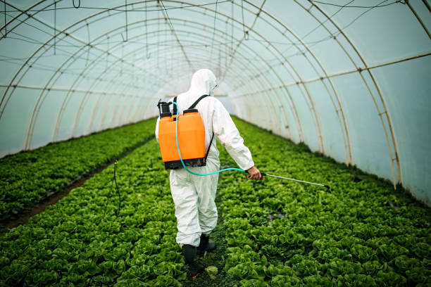 Pest Prevention Services in Jacobus, PA