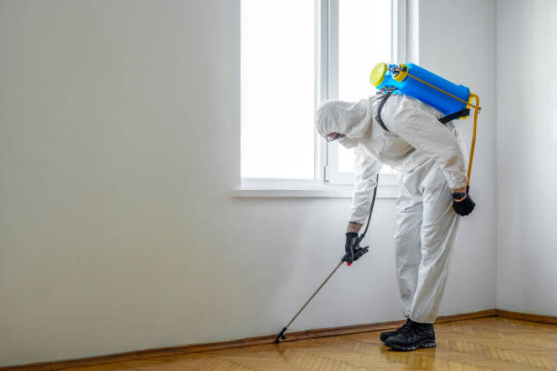 Best Mosquito Control Services  in Jacobus, PA