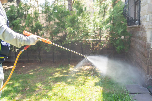 Best Flea Control Services  in Jacobus, PA