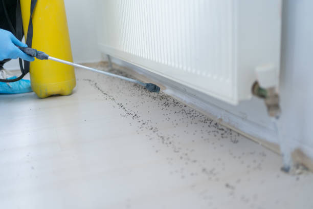Best Best Pest Control Companies  in Jacobus, PA